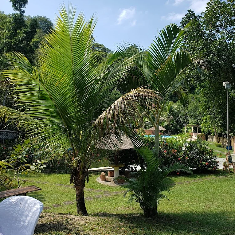 Sítio Novo Paraíso